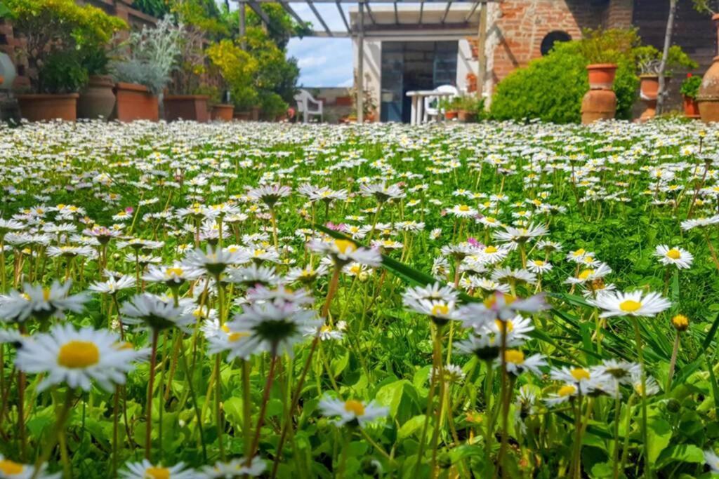 Bellavista La Tua Romantica Vacanza Sul Trasimeno Apartment Castiglione del Lago Exterior photo