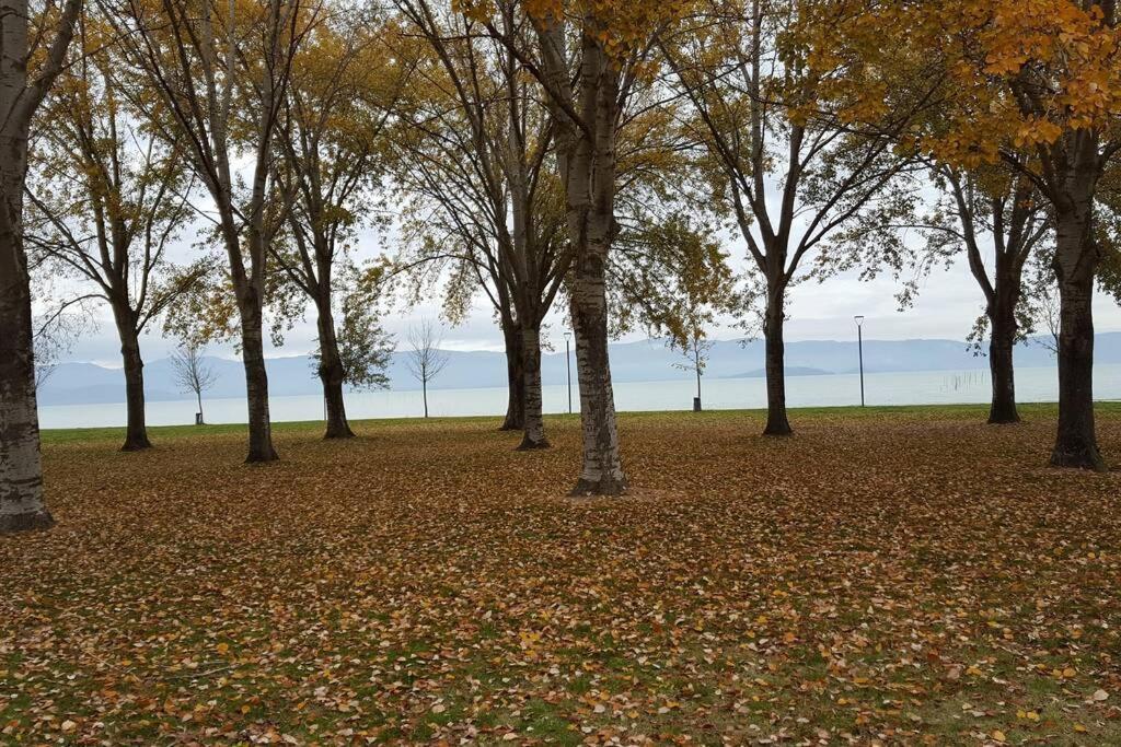 Bellavista La Tua Romantica Vacanza Sul Trasimeno Apartment Castiglione del Lago Exterior photo