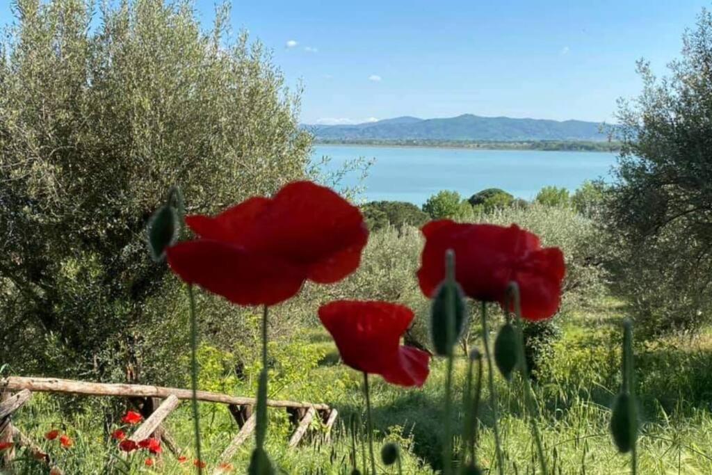 Bellavista La Tua Romantica Vacanza Sul Trasimeno Apartment Castiglione del Lago Exterior photo