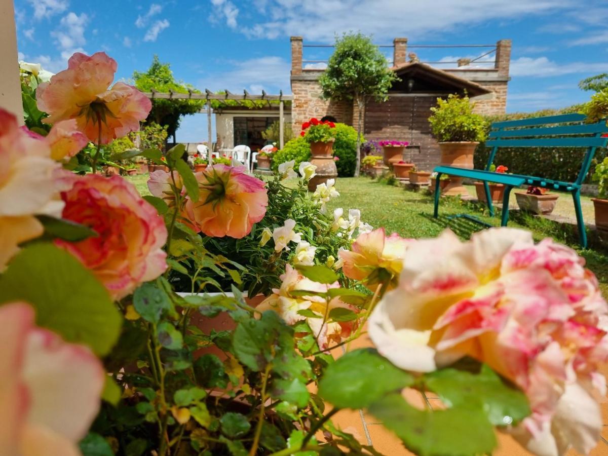 Bellavista La Tua Romantica Vacanza Sul Trasimeno Apartment Castiglione del Lago Exterior photo