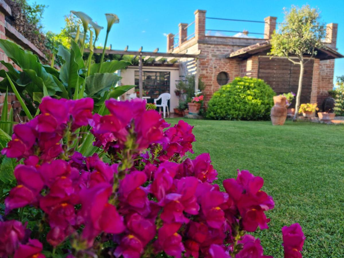 Bellavista La Tua Romantica Vacanza Sul Trasimeno Apartment Castiglione del Lago Exterior photo